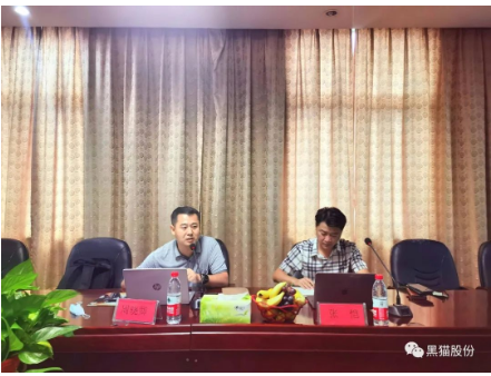 　安徽中鼎做為國內(nèi)最大的汽車橡膠零部件生產(chǎn)、出口企業(yè)，是黑貓股份差異化產(chǎn)品的重要客戶之一，此次評審為安徽中鼎第一次對黑貓公司開展審核活動，也是邯鄲黑貓首次接受差異化產(chǎn)品客戶方審核。