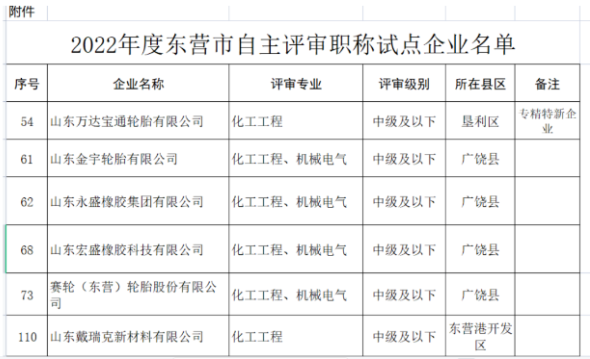 職稱自主評(píng)審，5家輪胎企業(yè)試點(diǎn)！